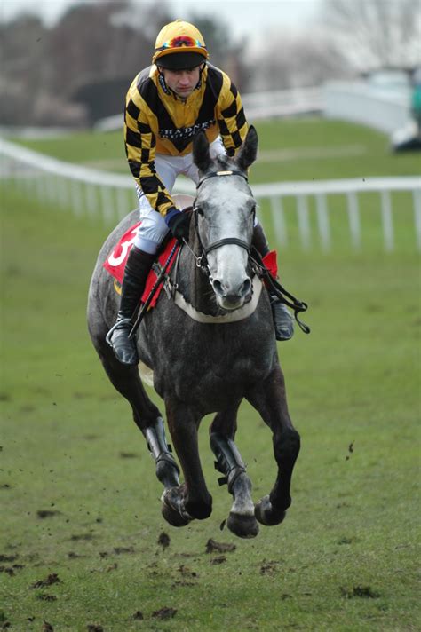attheraces racecards
